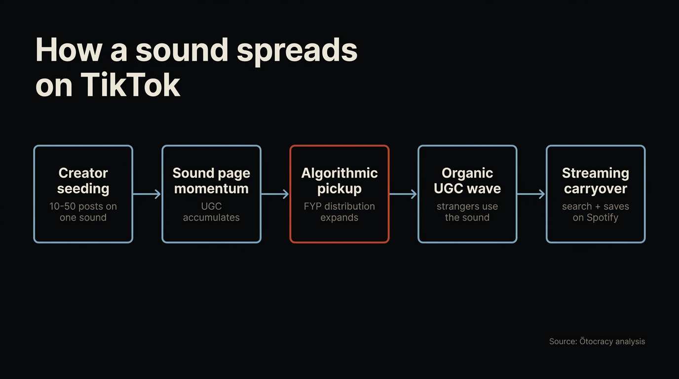 Flow diagram of how a sound spreads on TikTok: creator seeding to sound-page momentum to algorithmic pickup to organic UGC wave to streaming carryover